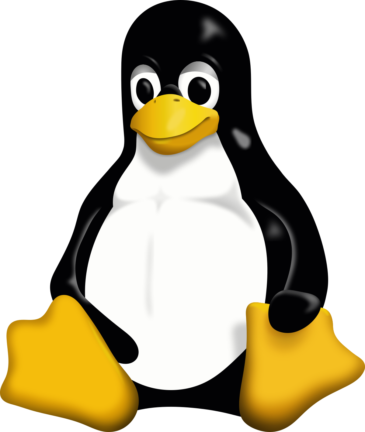 Linux Server